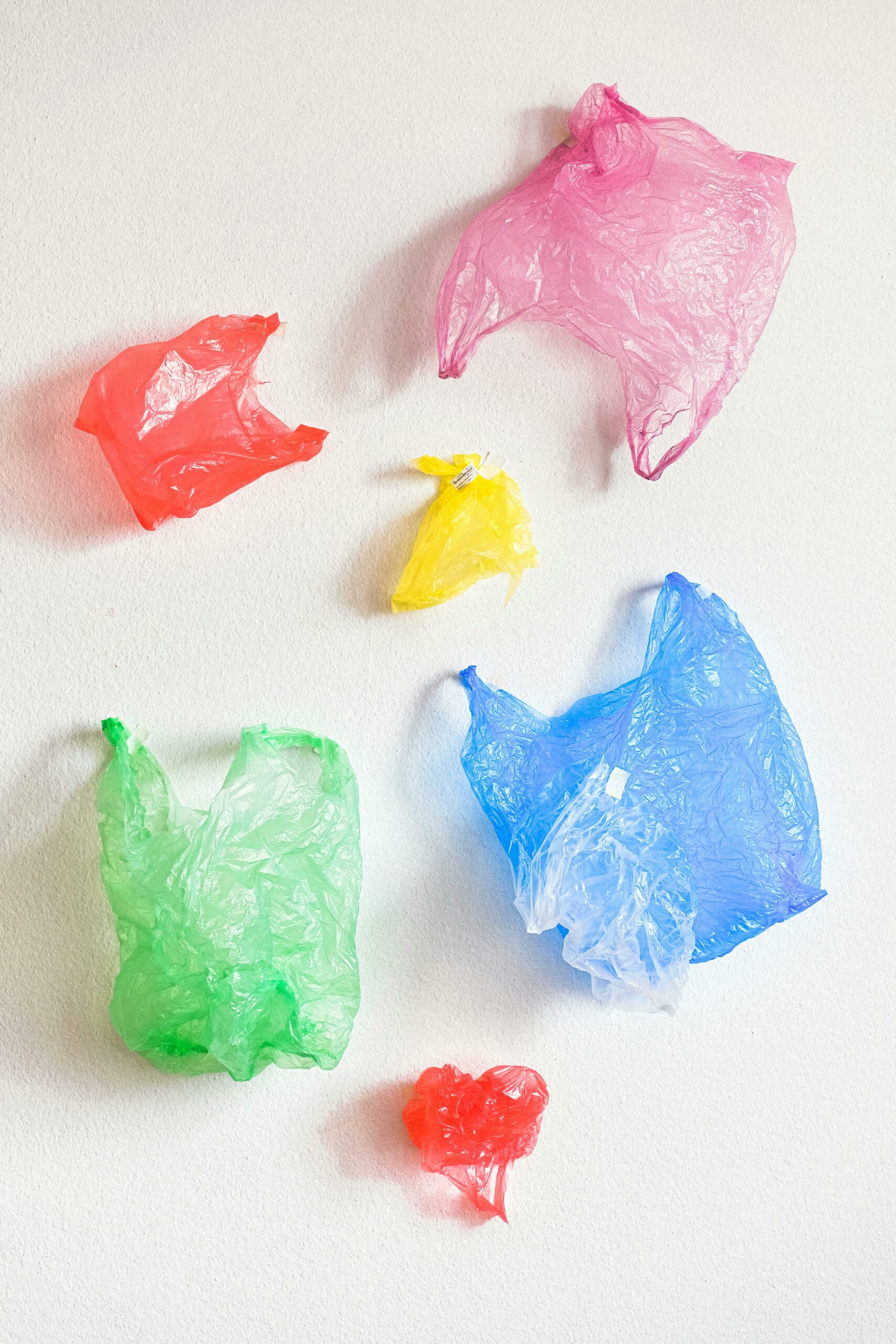 L’Impact de l’Écologie sur les Arts Visuels